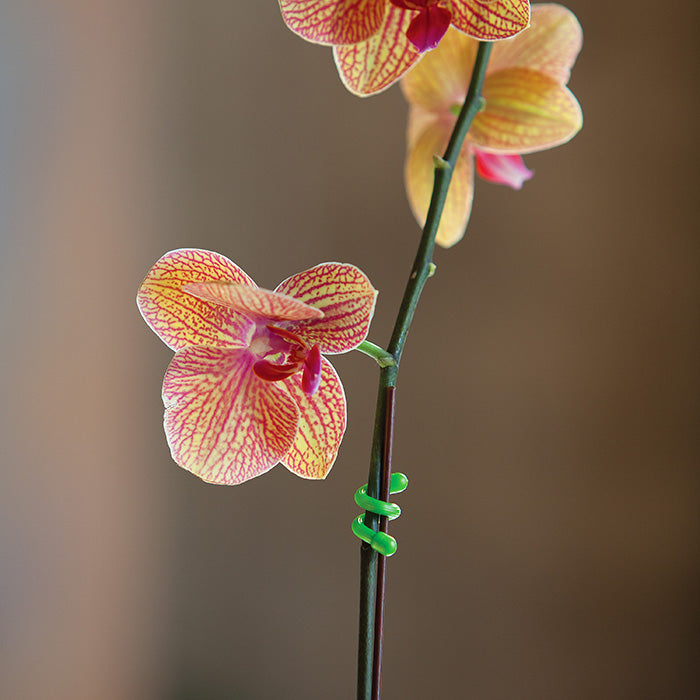 NITE IZE - 7.6cm Rubber Twist Gear Tie (4 Pack)